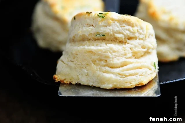 Parmesan Chive Biscuits Recipe | ©addapinch.com