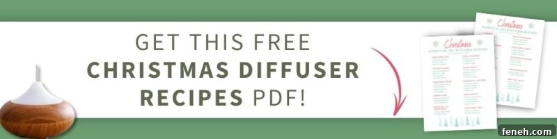 essential oil diffuser and layout of pdfs featuring christmas diffuser recipes