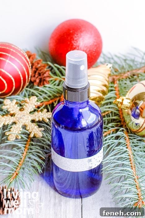 DIY Holiday air freshener