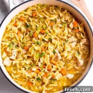 A white Dutch Oven full of a soup with noodles, carrots, celery and chicken.