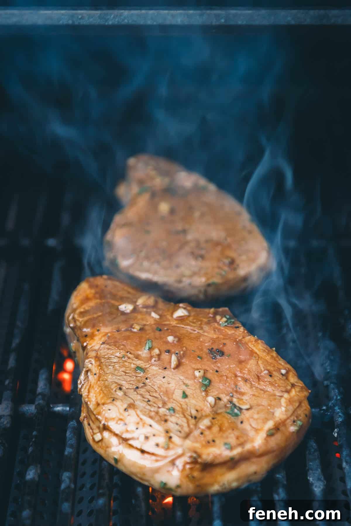 Pork chops on the grill grates.