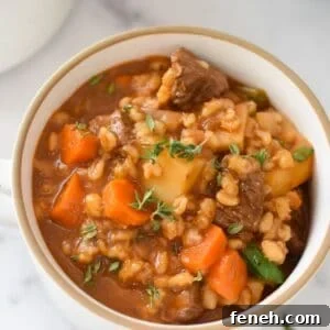 Slow Cooker Beef Barley Soup 1200 x 1200