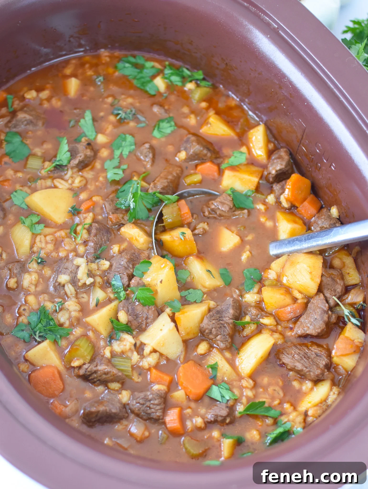 Slow Cooker Beef Barley Soup in crockpot