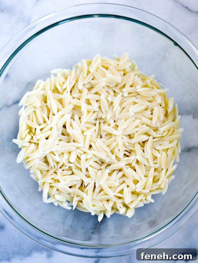 Orzo pasta