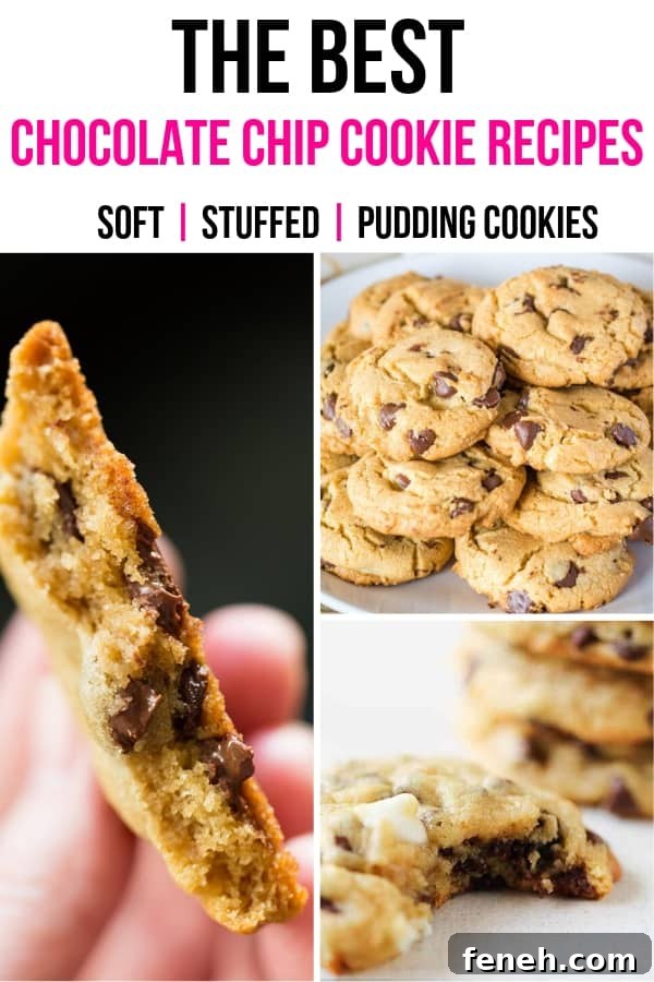 The Best chocolate chip cookie recipes
