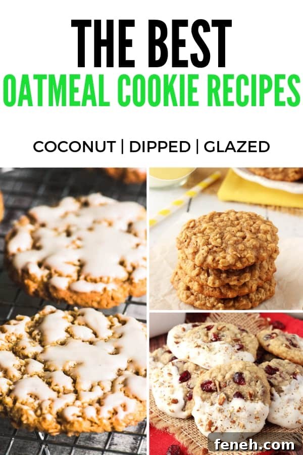 best oatmeal cookie recipes