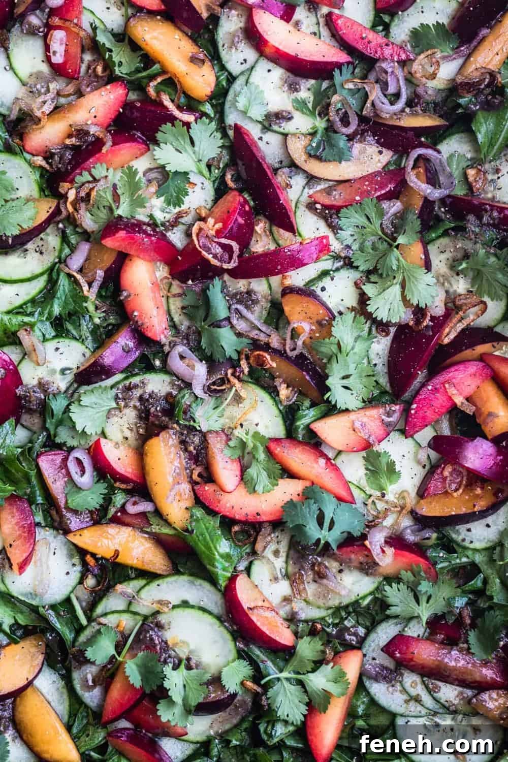 Plum & Cucumber Salad with Roasted Ginger Vinaigrette all done, topped with cilantro and crispy shallots.