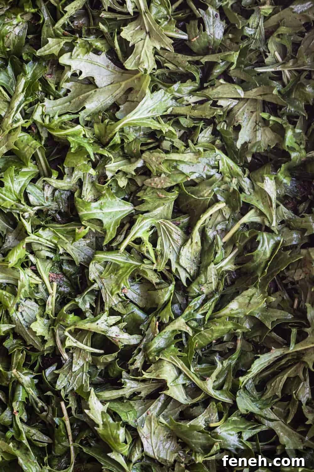 Mizuna lettuce tossed with roasted ginger vinaigrette.