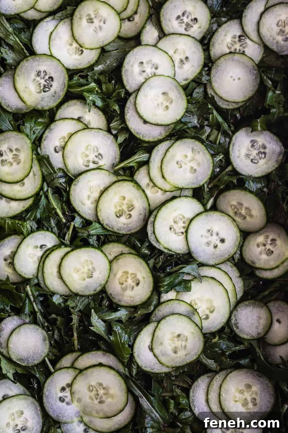 Mizuna lettuce topped with cucumbers.
