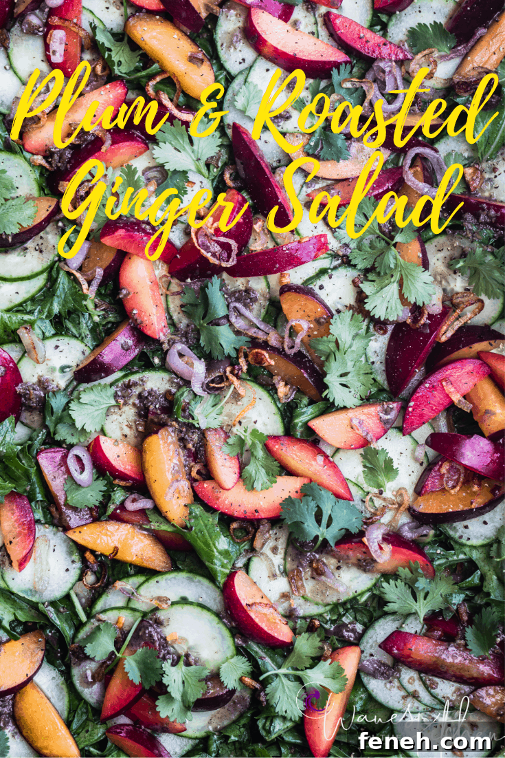 Plum & Cucumber Salad with Roasted Ginger Vinaigrette Recipe all done with cucumbers, plums, crispy shallots, greens, cilantro and dressing!