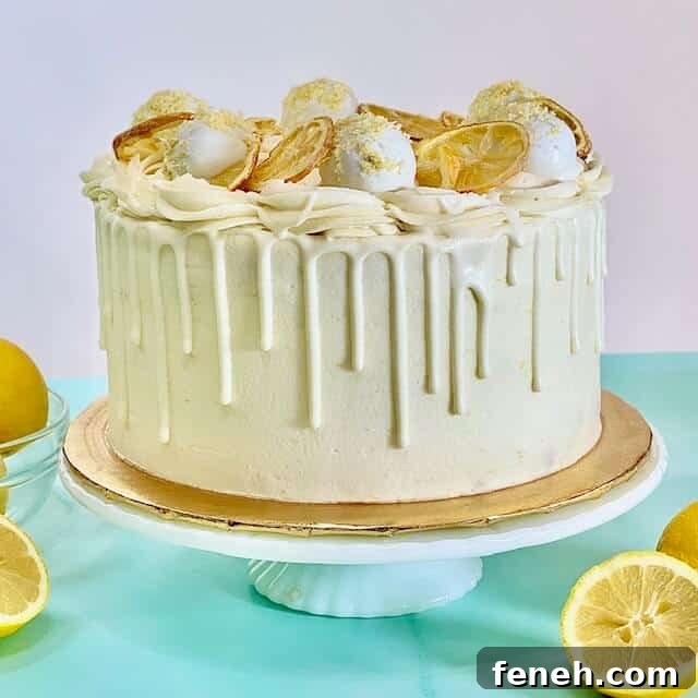 Decorated Lemon cake with lemon cake truffles and sugared lemon slices