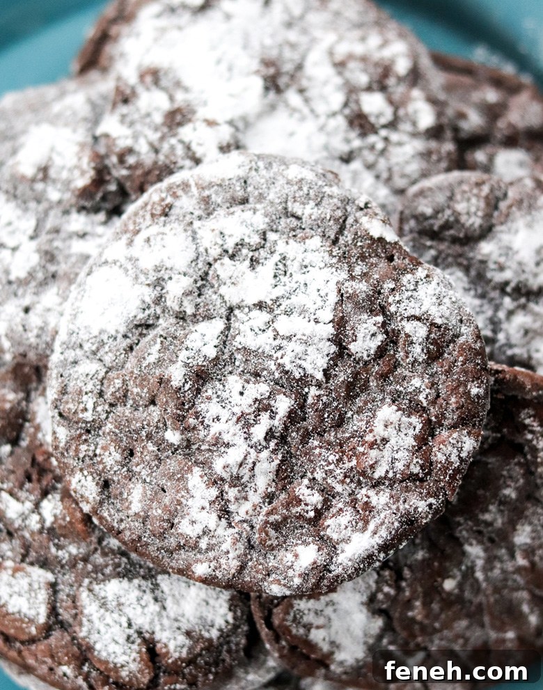 Dark Chocolate Coffee Crinkle Cookies Dark Chocolate Coffee Crinkle Cookies