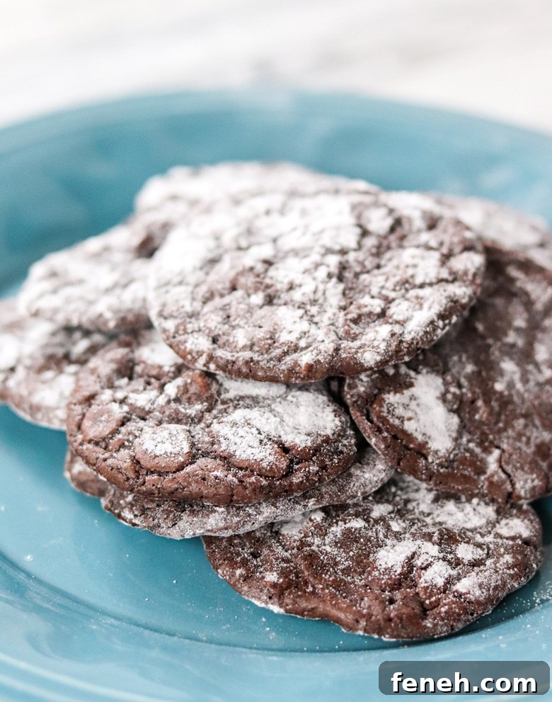 Dark Chocolate Coffee Crinkle Cookies Dark Chocolate Coffee Crinkle Cookies