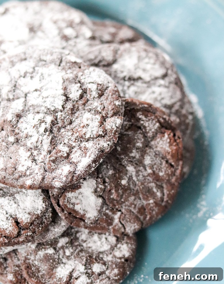 Dark Chocolate Coffee Crinkle Cookies Dark Chocolate Coffee Crinkle Cookies