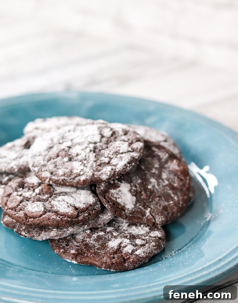 Dark Chocolate Coffee Crinkle Cookies Dark Chocolate Coffee Crinkle Cookies