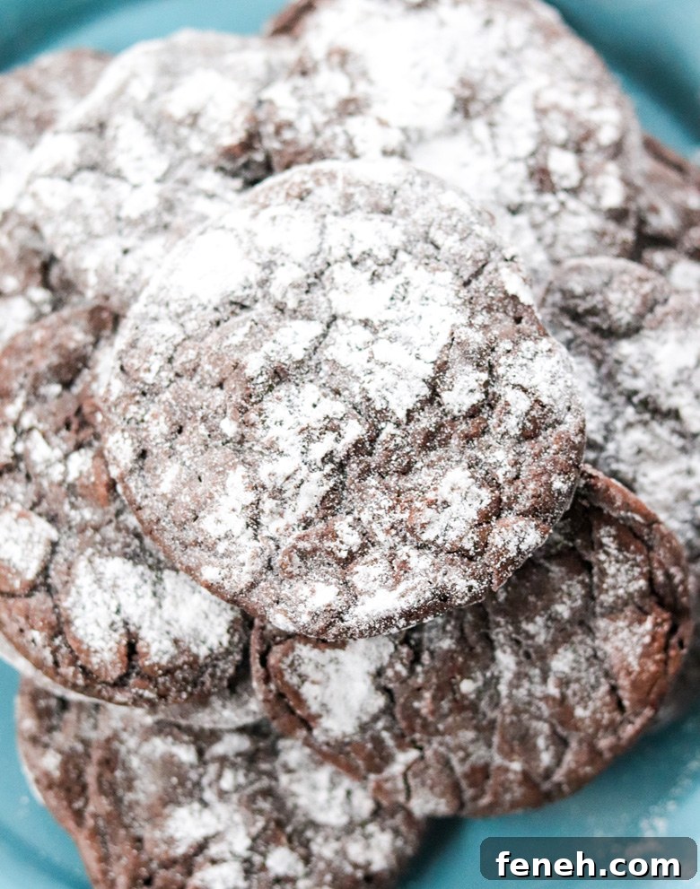 Dark Chocolate Coffee Crinkle Cookies Dark Chocolate Coffee Crinkle Cookies