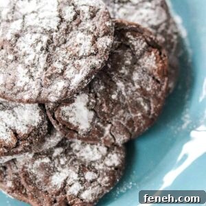 Dark Chocolate Coffee Crinkle Cookies Featured Image