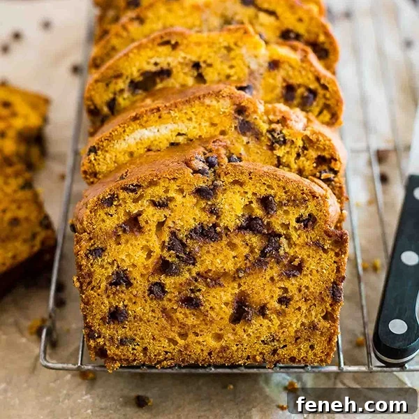 Pumpkin Chocolate Chip Bread