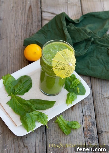 There are many versions of the Green Monster Smoothie out there; this is mine: it's vegan, gluten-free, grain-free, and yummy. I love this drink both because it’s uber-healthy, and because it’s super-delish. #healthy #smoothie #vegan 