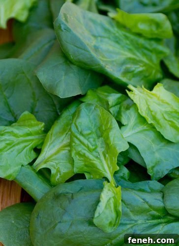 Fresh spinach for smoothie