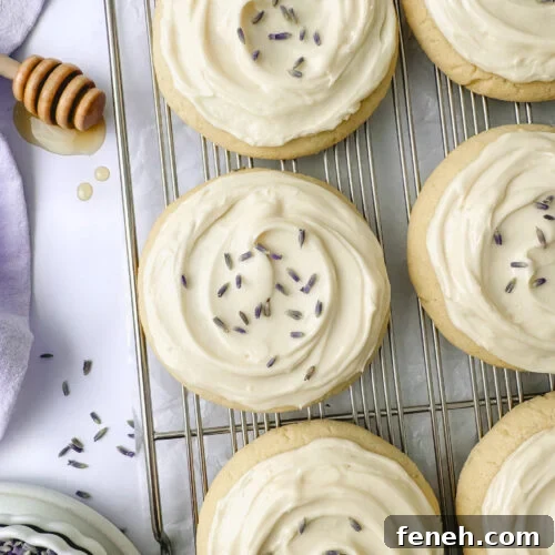 Honey Lavender Cookies - recipe image