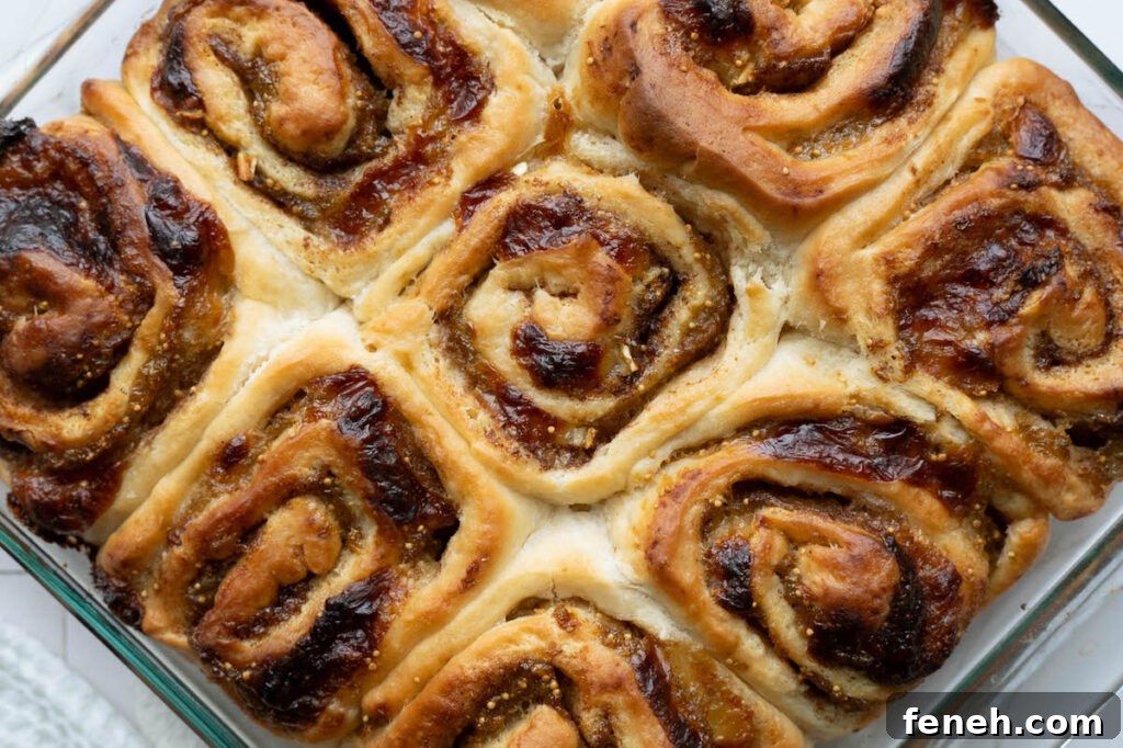 Freshly baked cinnamon rolls filled with homemade fig butter