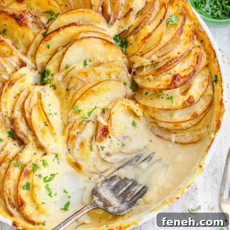 Potatoes au gratin in white circular baking dish with serving fork.