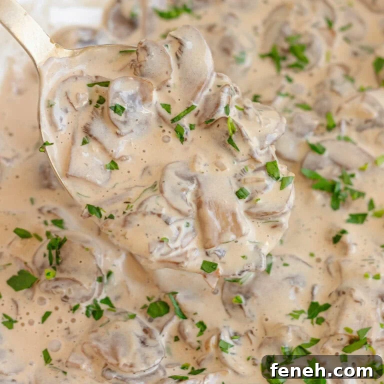 Spoon lifting up mushroom cream sauce.