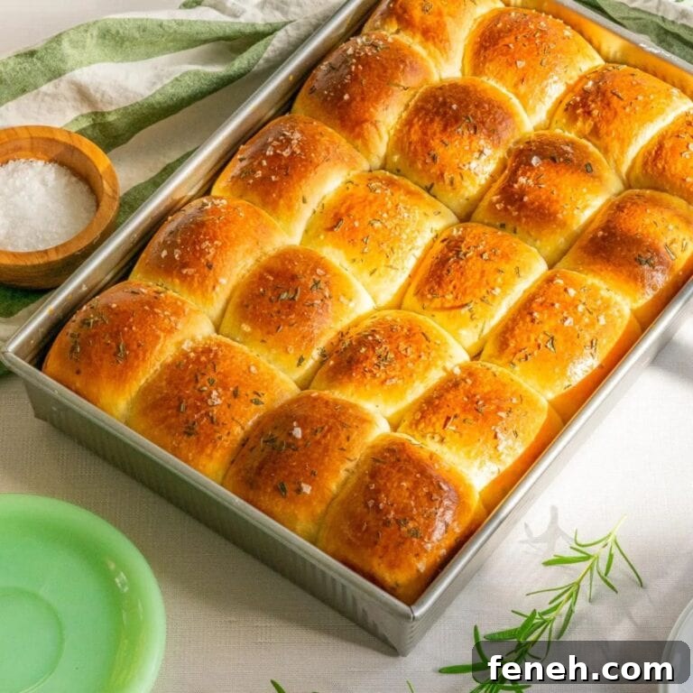 Rosemary sourdough dinner rolls in a baking pan.