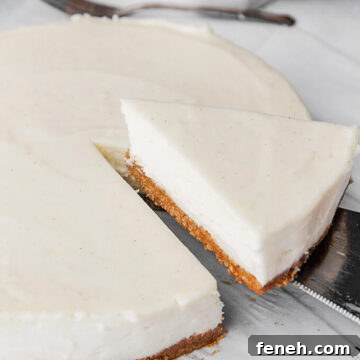 A slice of cheesecake on a serving spoon.