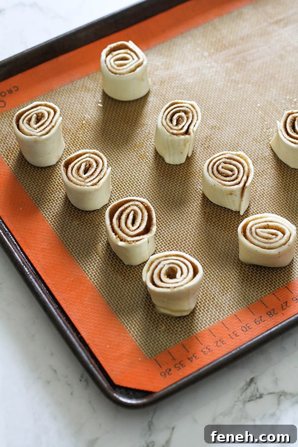 cinnamon pinwheels on a baking tray ready for the oven.