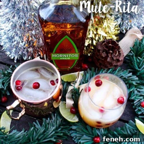 Cranberry MuleRita