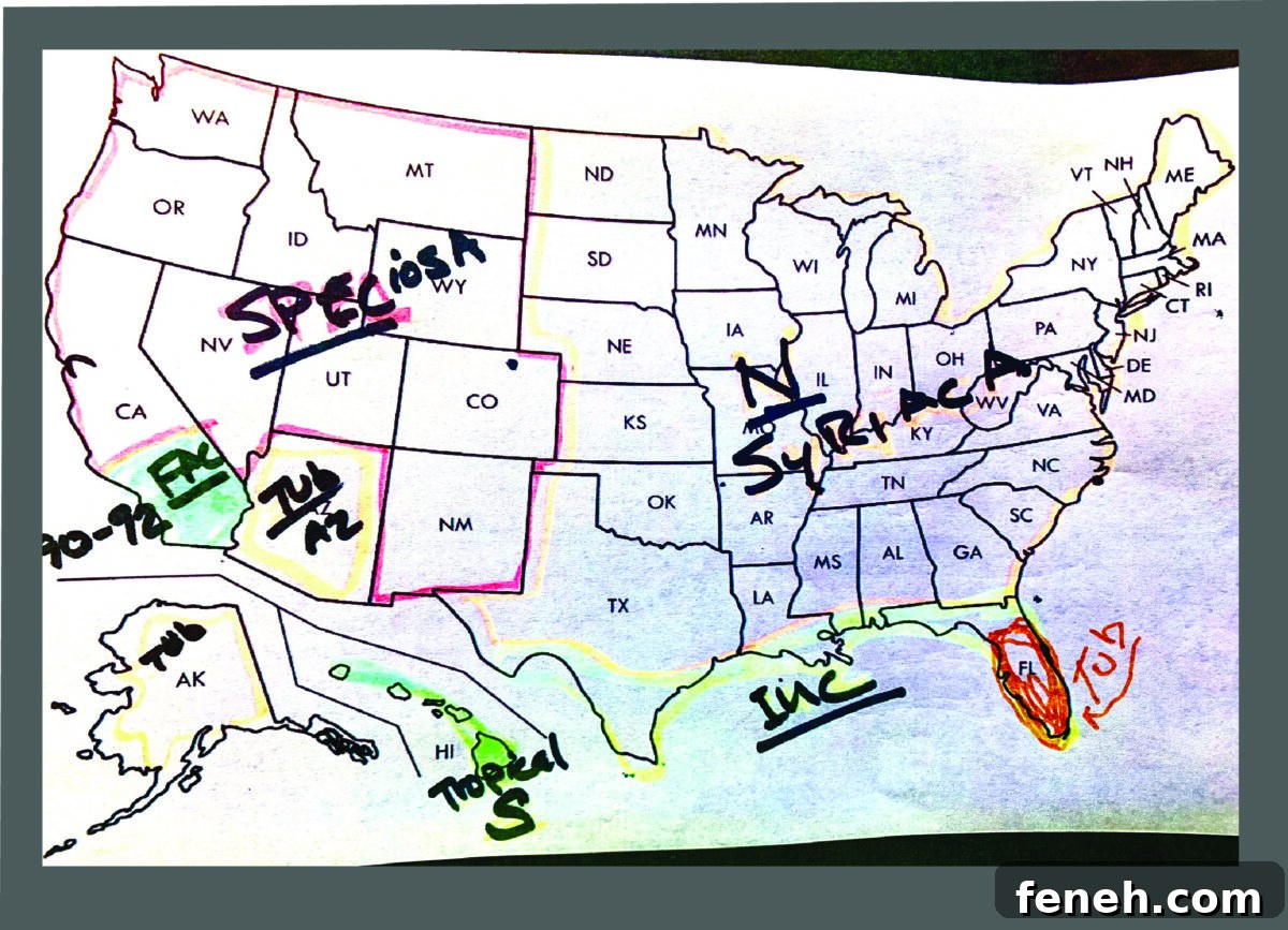 Map of the US, color coded for what Milkweed is needed in each area 