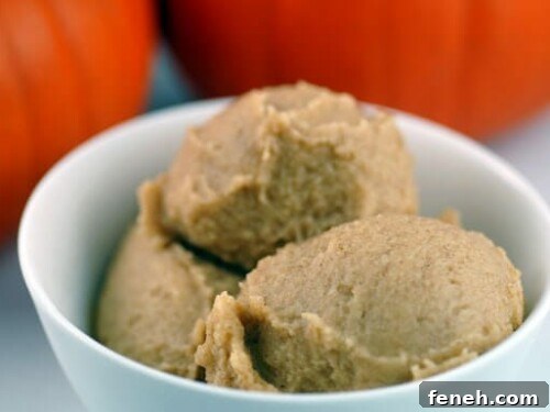 pumpkin pie ice cream