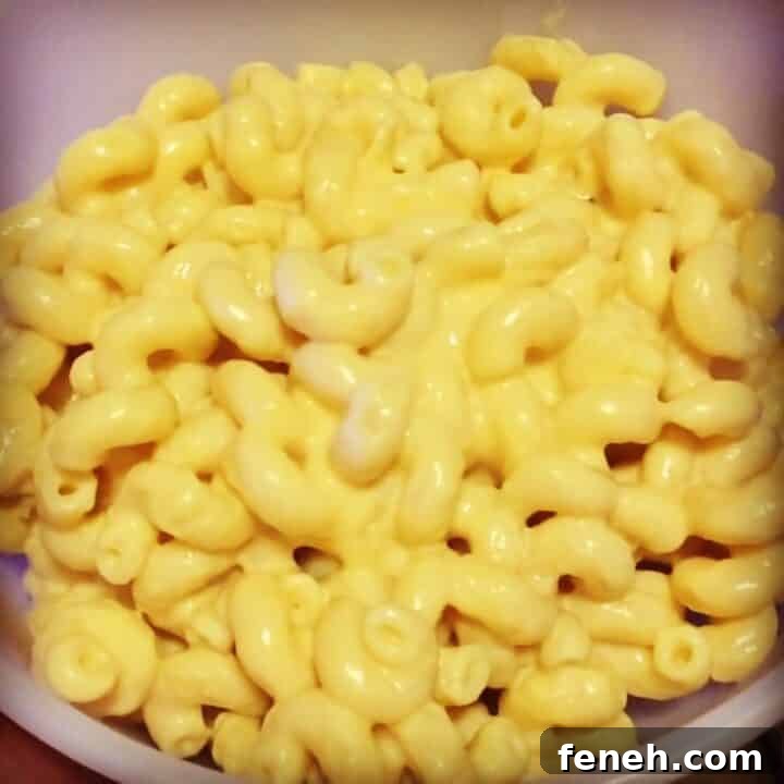 Instant Pot Macaroni & Cheese