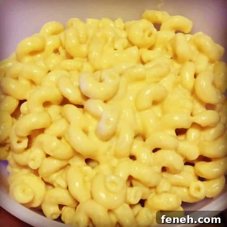 Creamy macaroni and cheese recipe