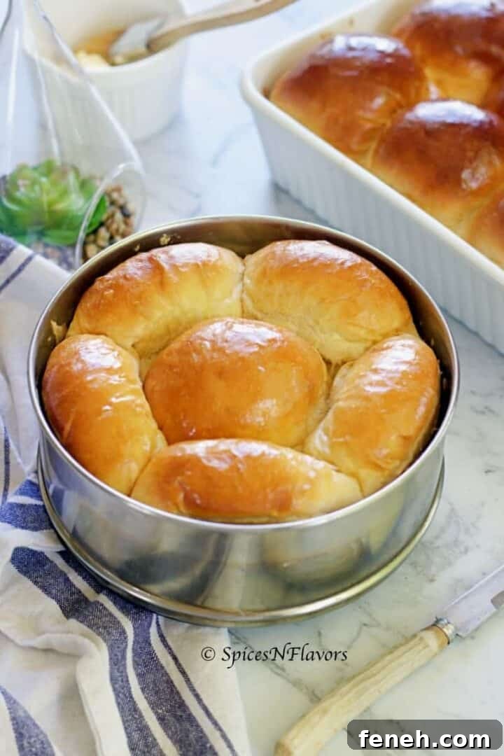 Ladi Pav (Eggless Soft Dinner Rolls) Recipe 11 a steel bowl holding the pav buns cooked in the cooker