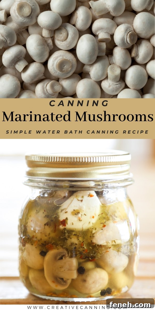 Marinated Mushrooms Canning Recipe