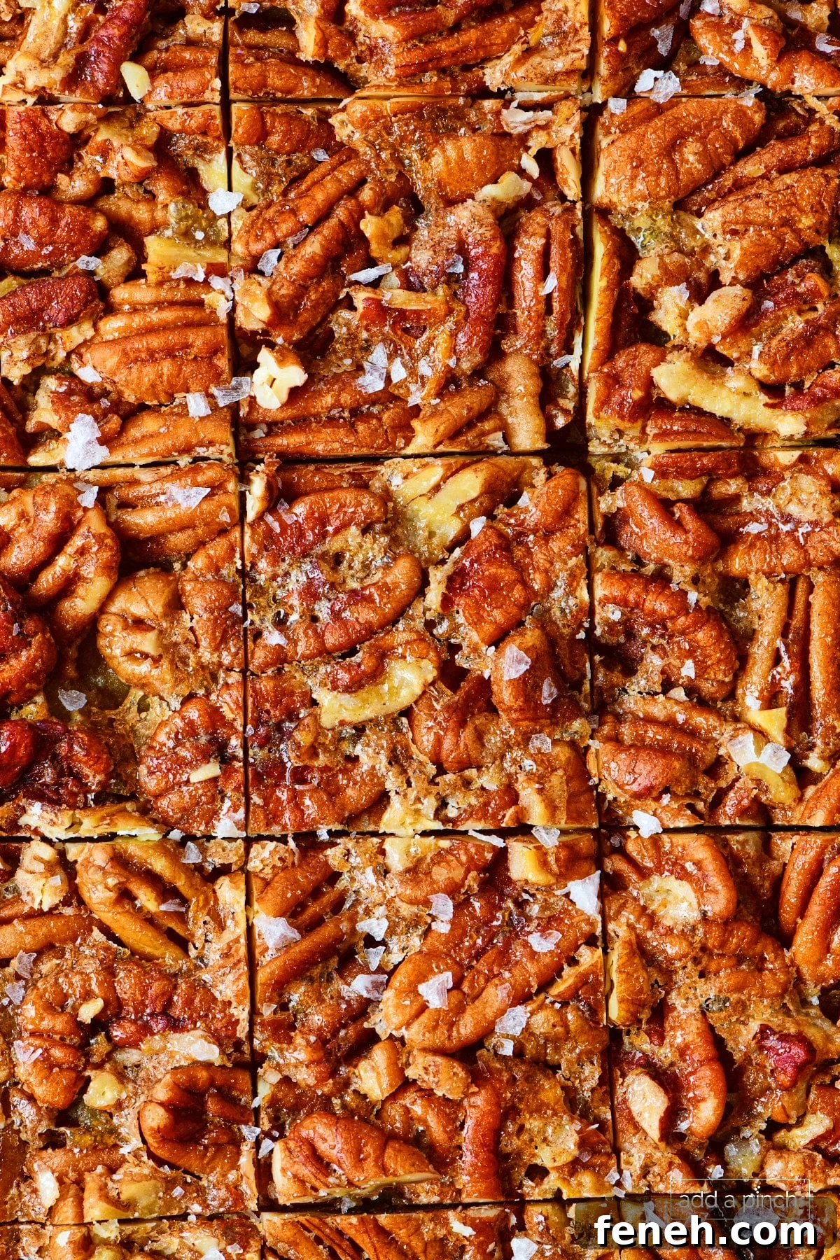 Pecan pie bars cut into individual squares sprinkled with flakey salt.