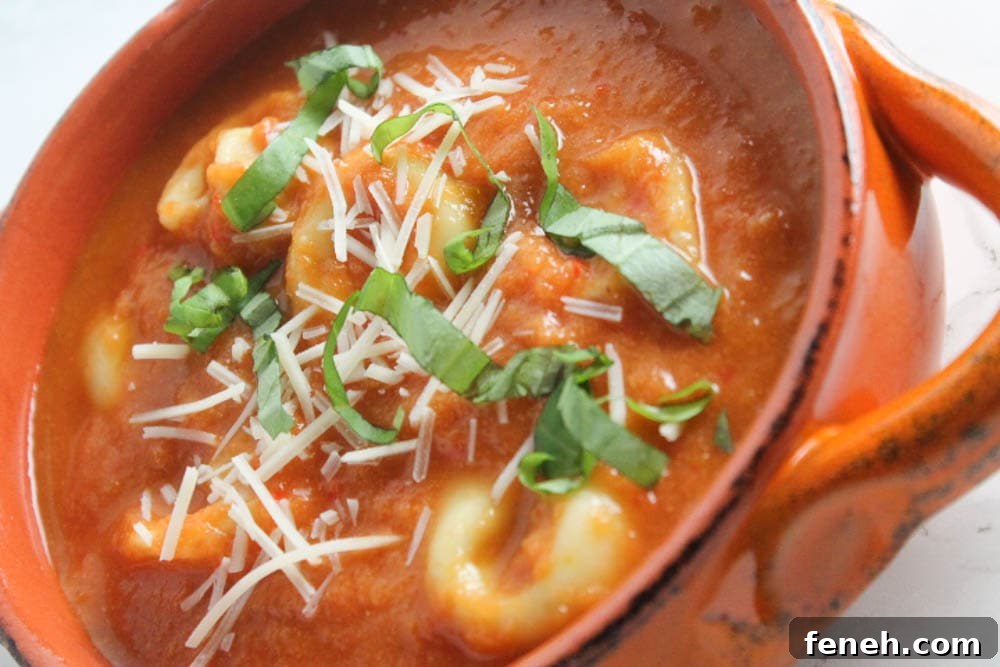 One Pot Tomato and Tortellini Soup - comforting and hearty, but still quick and easy; a perfect weeknight dinner for cold winter nights.