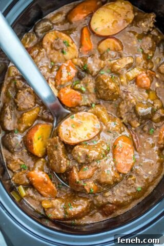 Slow Cooker Beef Stew from Scratch
