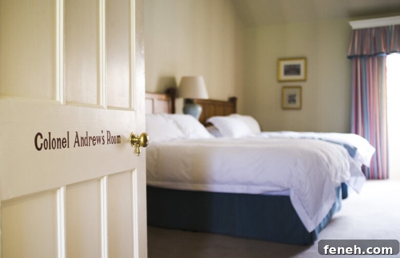 Spare bedroom