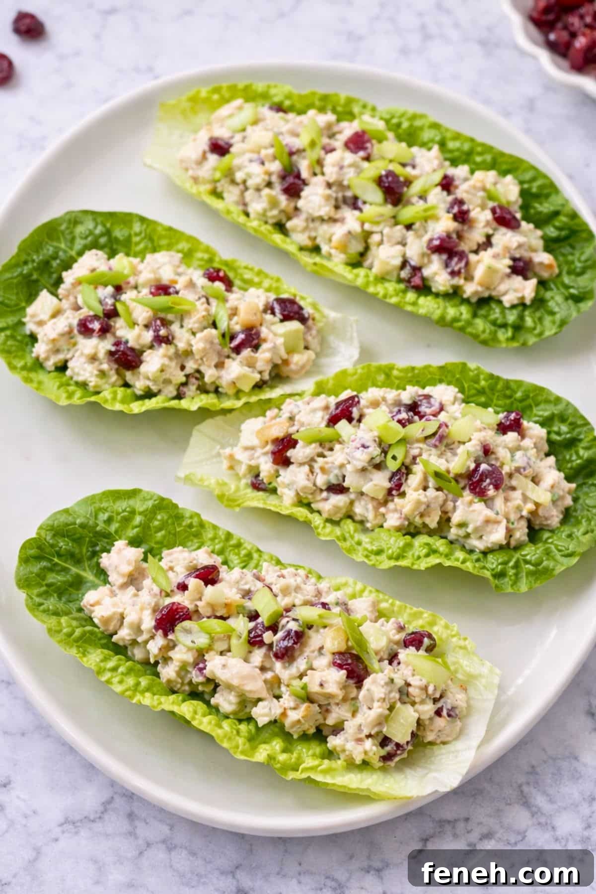 Chicken salad with dried cranberries and green onion spooned into romaine lettuce cups on a white plate.