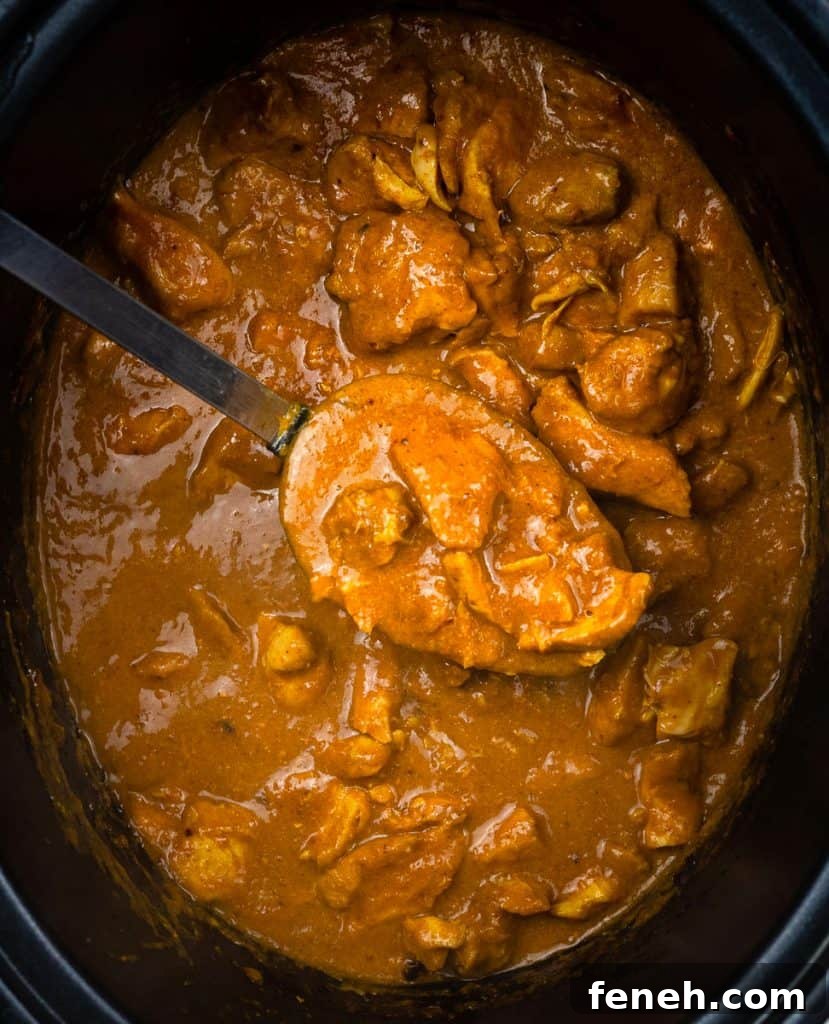 A close-up of a ladle scooping thick, orange-brown Slow Cooker Chicken Curry with chunks of chicken from a slow cooker—an easy curry recipe perfect for cozy nights.