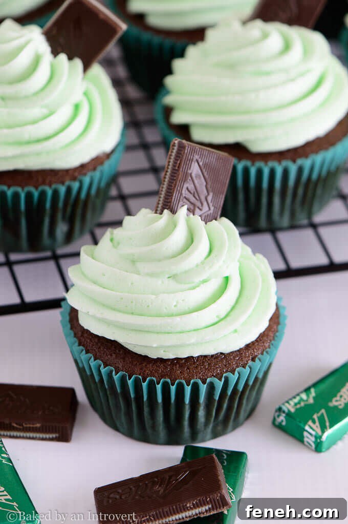 Andes Mint Cupcakes with creamy mint frosting | 25+ Cupcake Frosting recipes