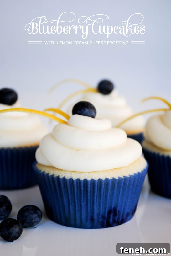 Blueberry Cupcakes with Lemon Cream Cheese Frosting | 25+ Cupcake Frosting recipes