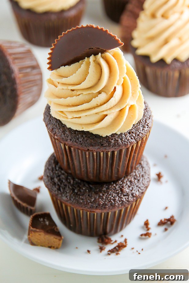 Ultimate Chocolate Peanut Butter Cupcakes | 25+ Cupcake Frosting recipes
