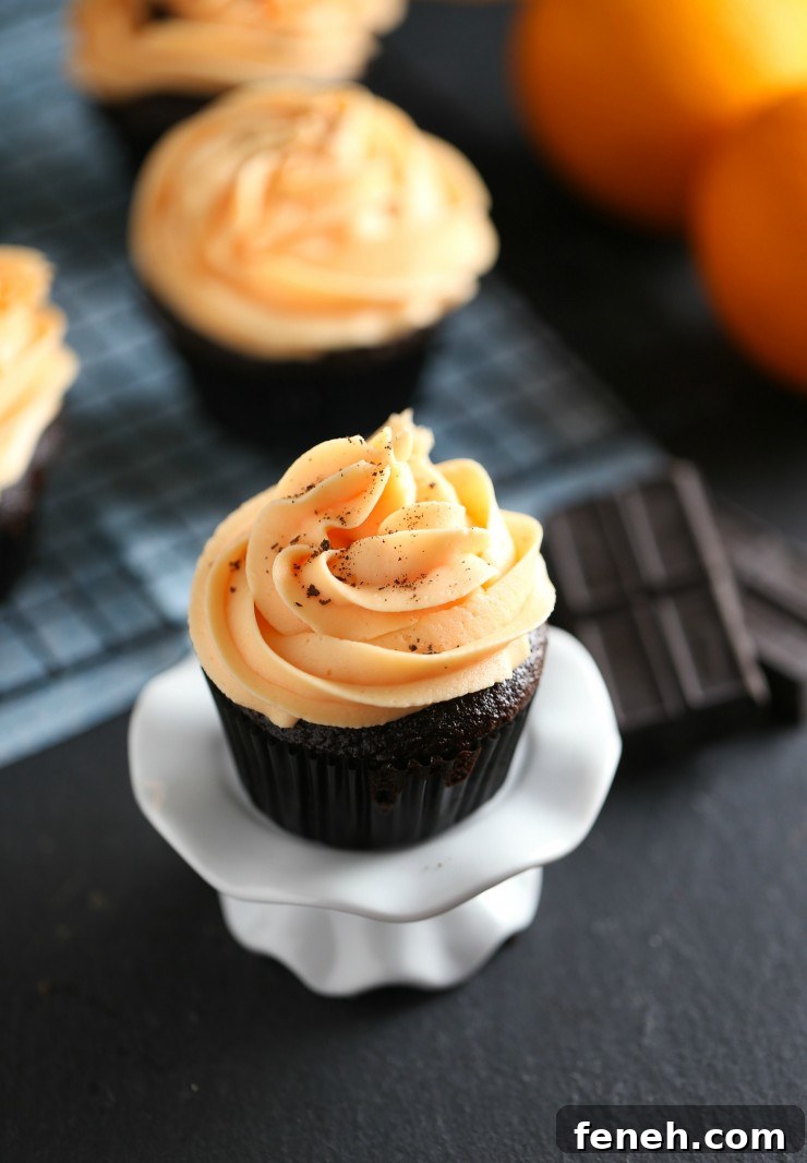 Chocolate Cupcakes with Orange Buttercream Frosting | 25+ Cupcake Frosting recipes