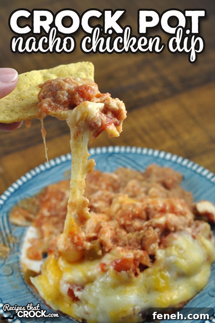 If you are looking for a simple yet delicious dip recipe, you should check out this Nacho Crock Pot Chicken Dip recipe.