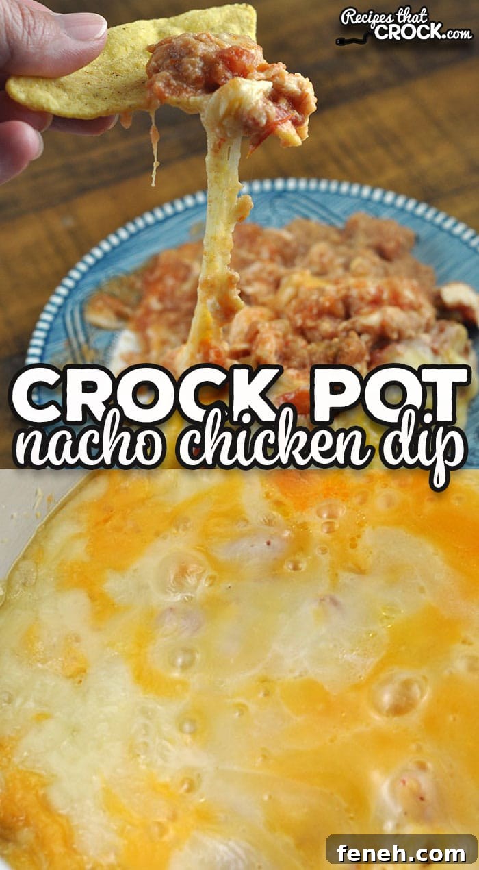If you are looking for a simple yet delicious dip recipe, you should check out this Nacho Crock Pot Chicken Dip recipe.